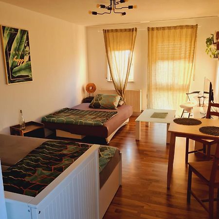Mels Apartment Шветцинген Экстерьер фото